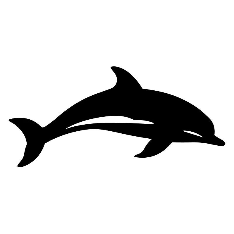 dolphin