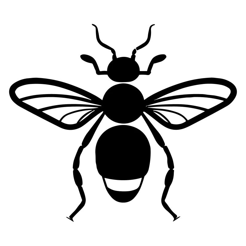 Flea insect