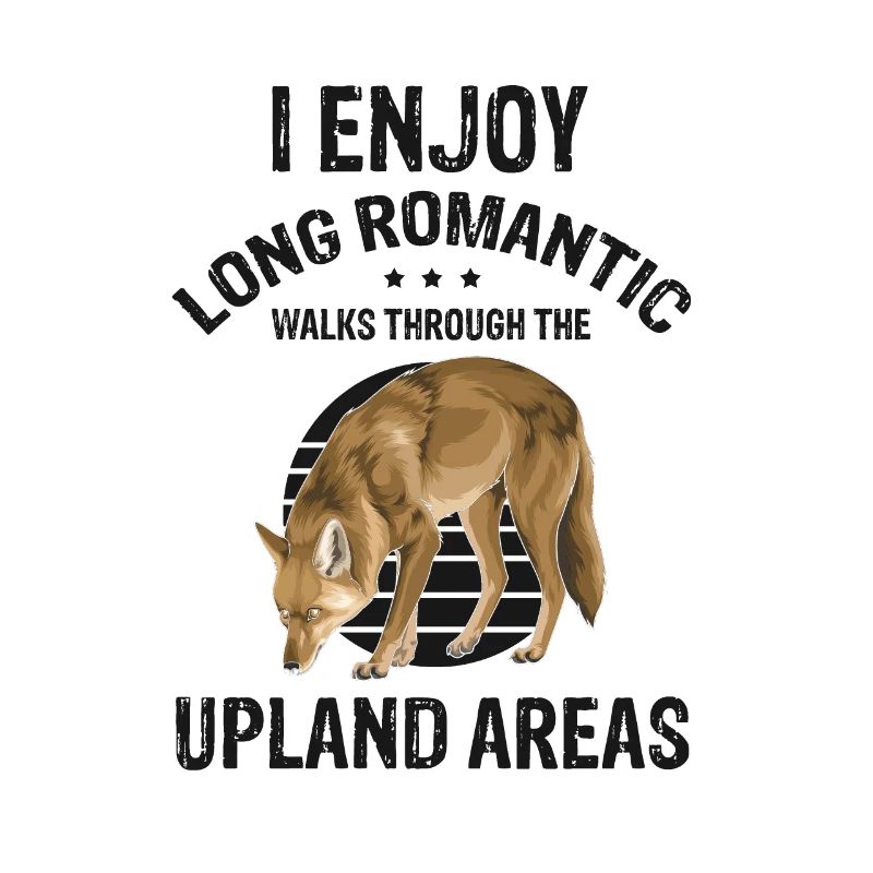 Coyote Design for Coyote Shreactors