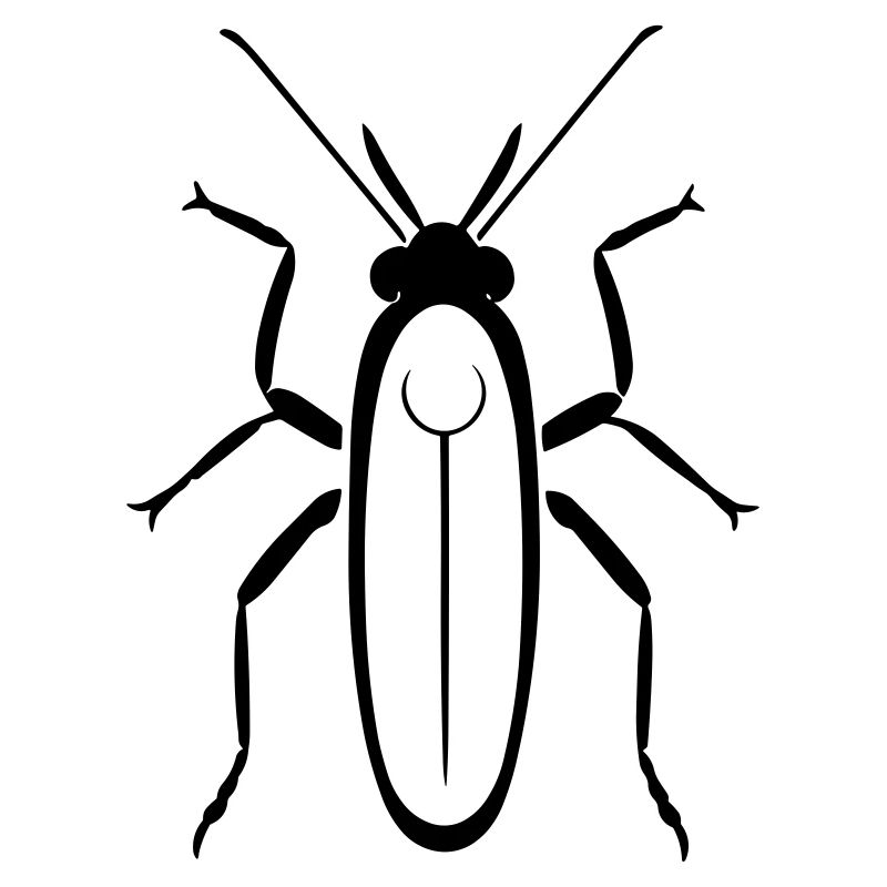 Termite