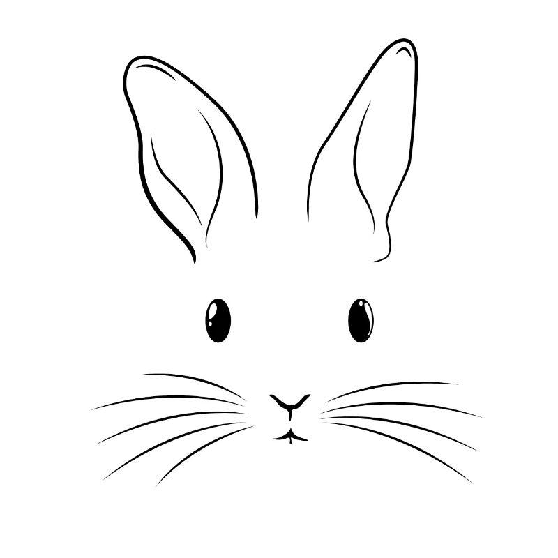 Easter Costume Rabbit Face Rabbit