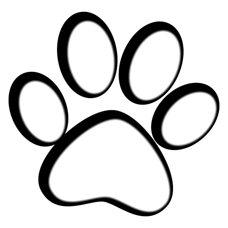 Patte de chat