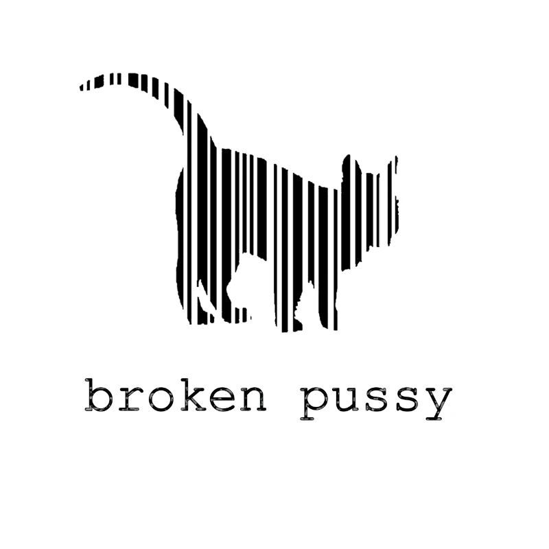 Broken Katze