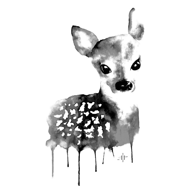 Deer Black & White