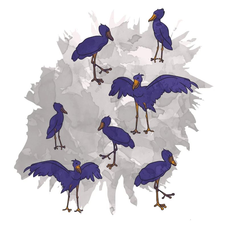 Bec-de-chaussure Ornithologue Forêt I Cadeau