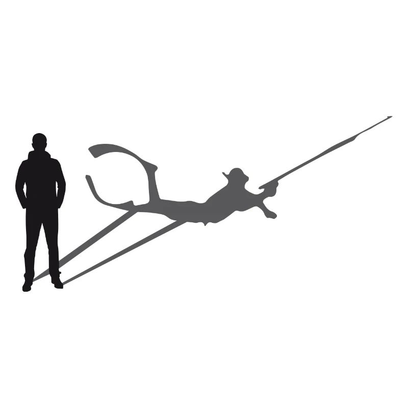 Schatten speerfisch