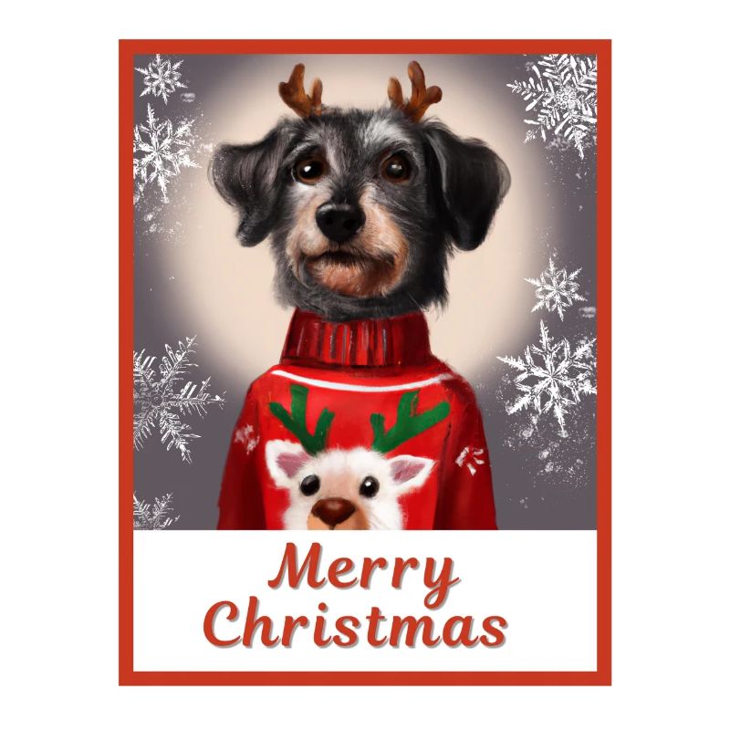 Schwarzer Zwergschnauzer im Weihnachtspullover.