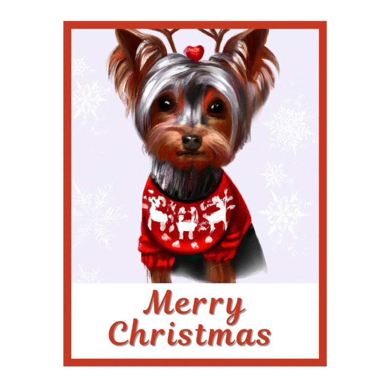 Yorkshire Terrier im festlichen roten Pullover.