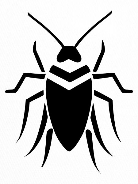 cockroach