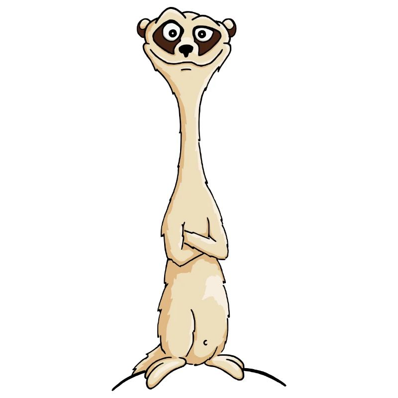 Erdmännchen