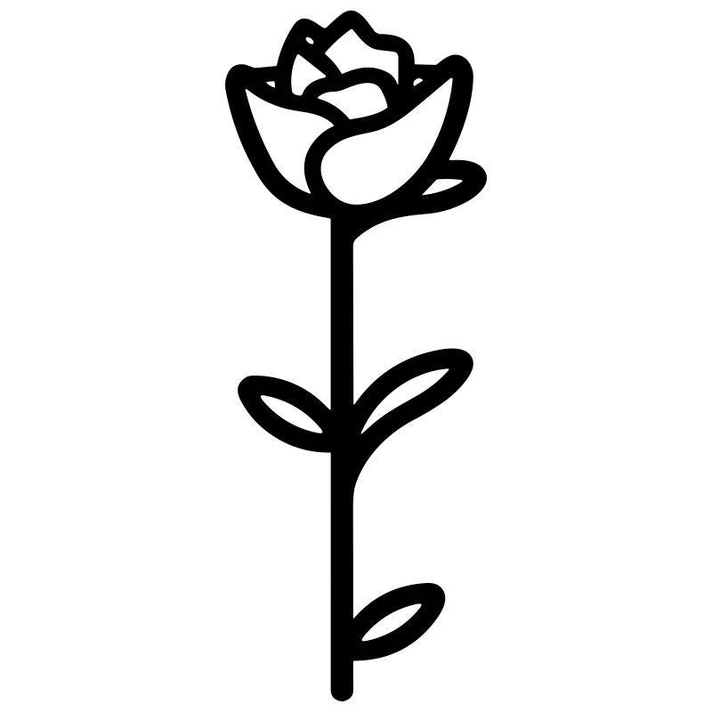 Rosa Blume