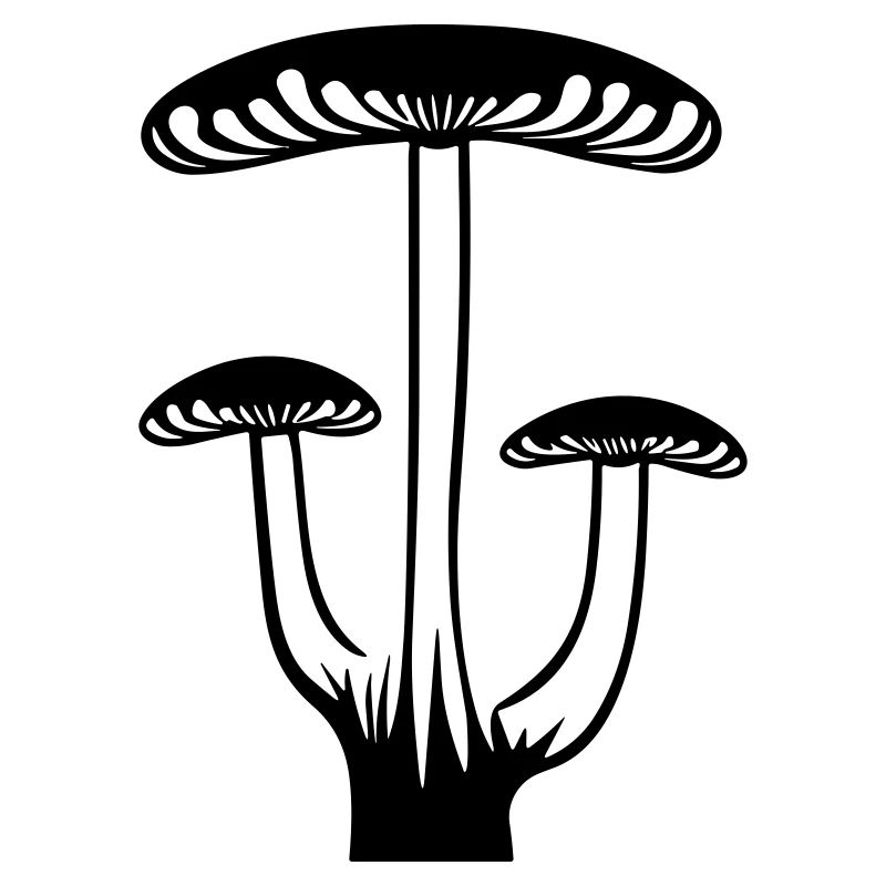 Pilz