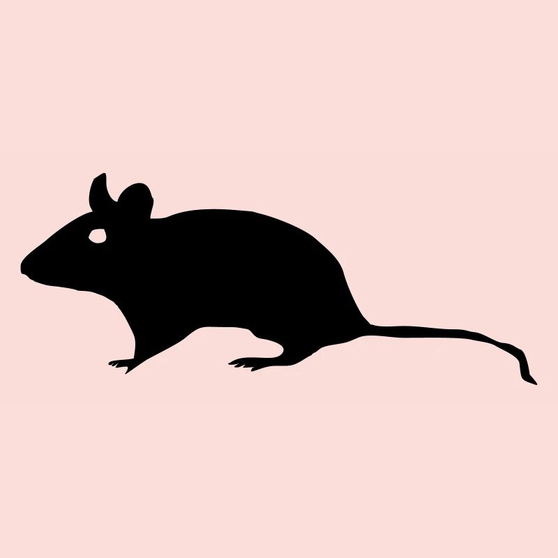 Maus