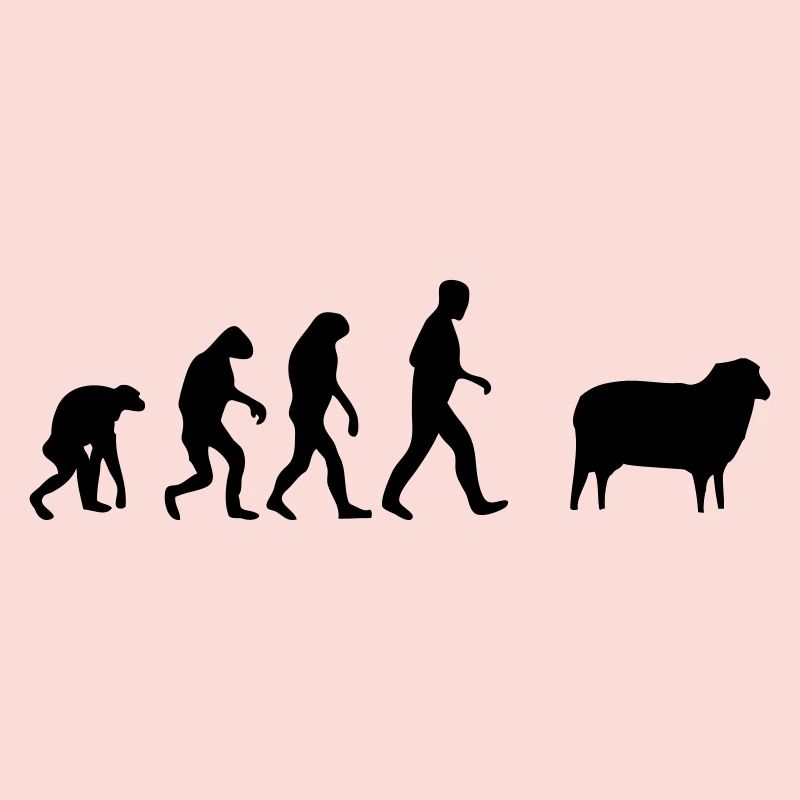 mouton evolution