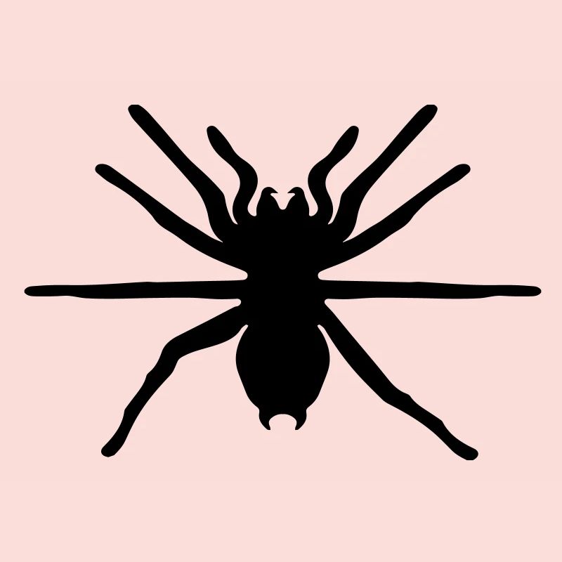 spinne