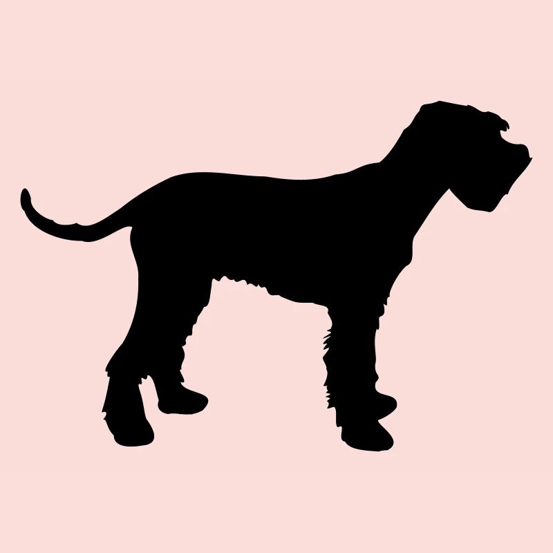 schnauzer géant