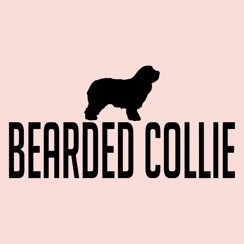 BEARDED COLLIE Hunderasse
