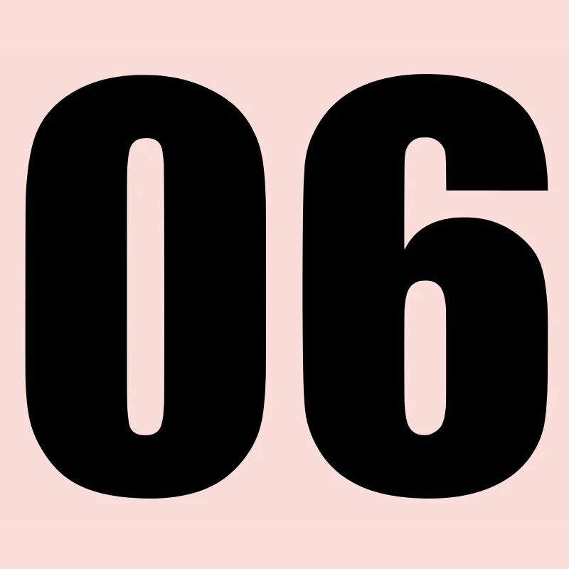 06