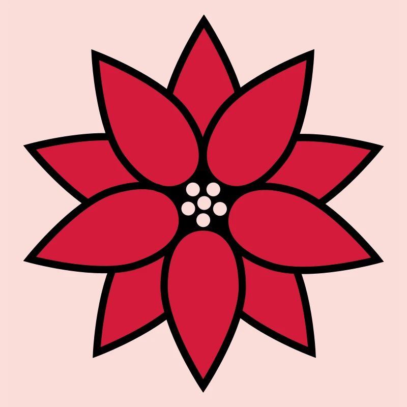 Weihnachtsstern