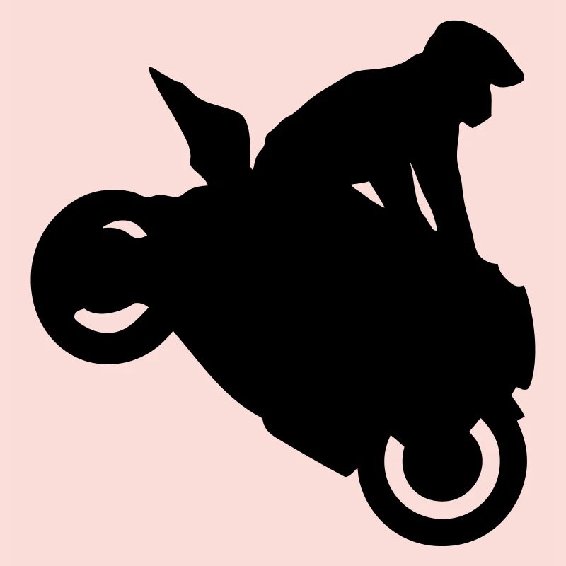 Smash stunts man motorcycle 1234