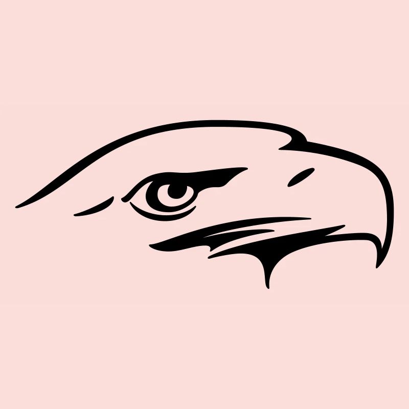 Eagle eye - Illustration vectorielle