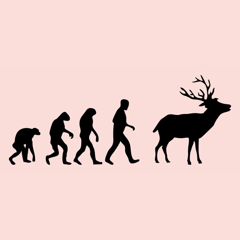 hirsch evolution