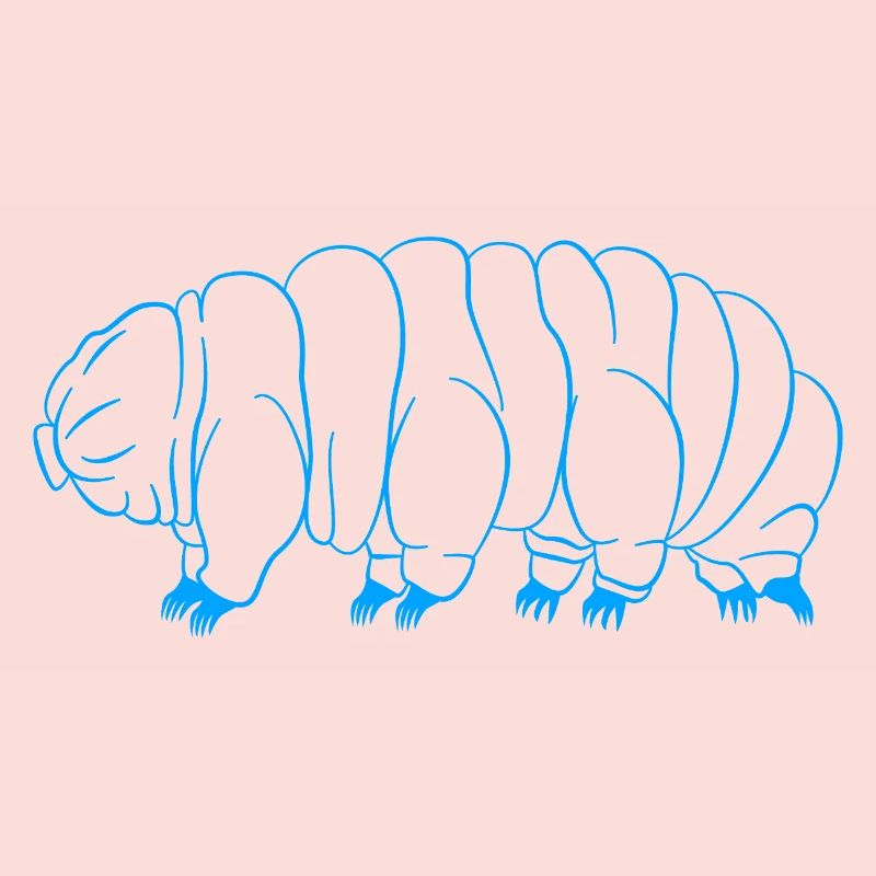 Bärtierchen Tardigrades Wasserbär Tardigrade