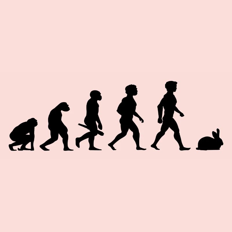 Evolution rabbit rabbits rabbit bunny rodents