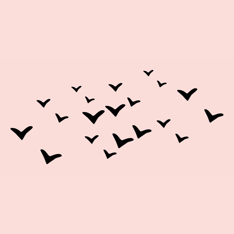 Oiseaux