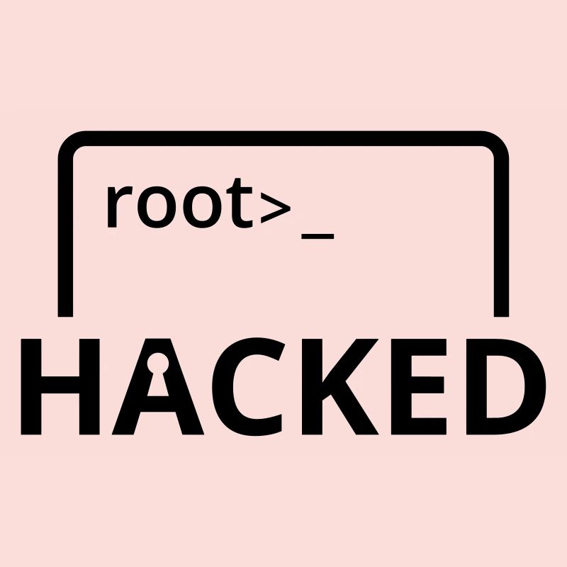 Hacked hacker computer scientist computer programmer