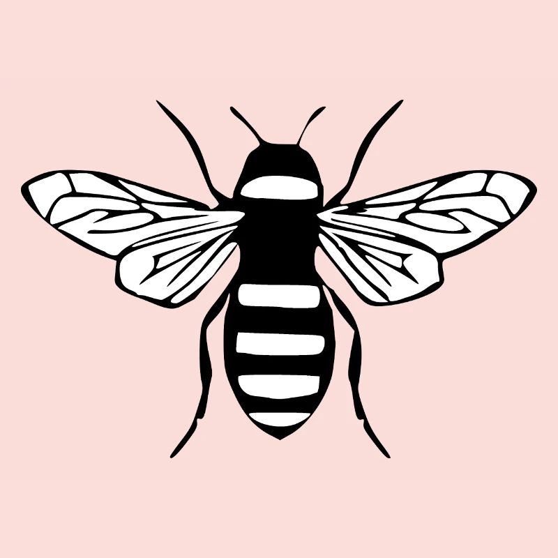 Bee Honey Bee Beekeeper Gift