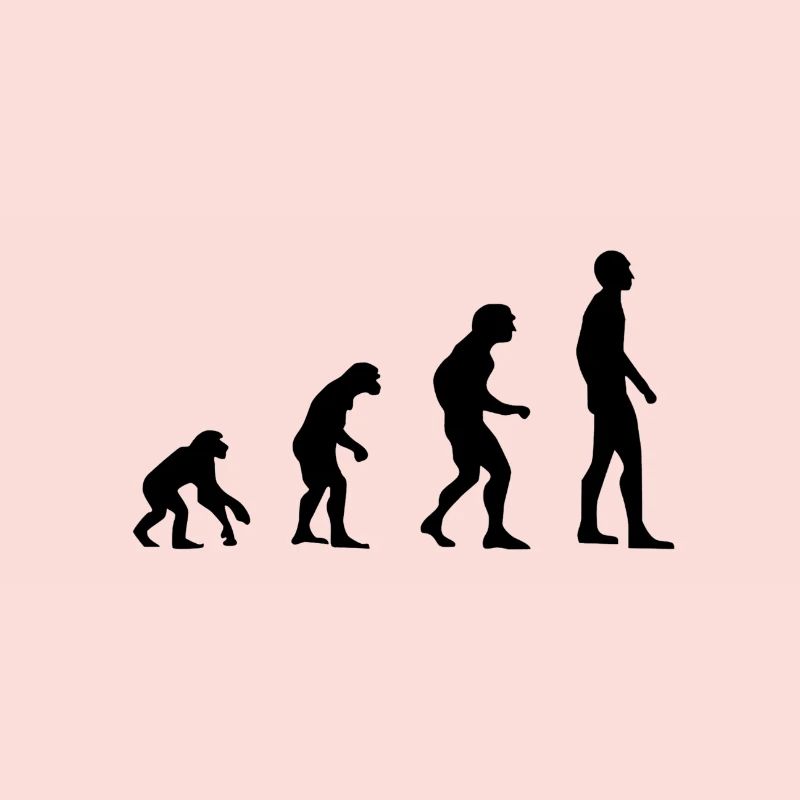 évolution