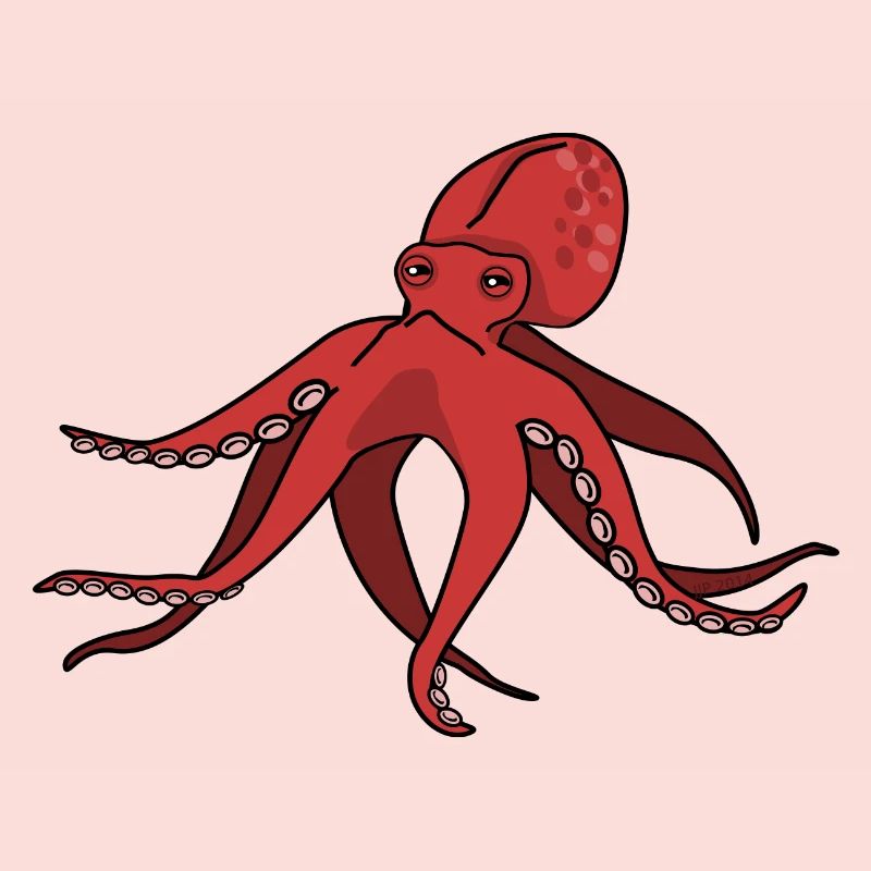 squid giant octopus octopus octopus squid sepia fish