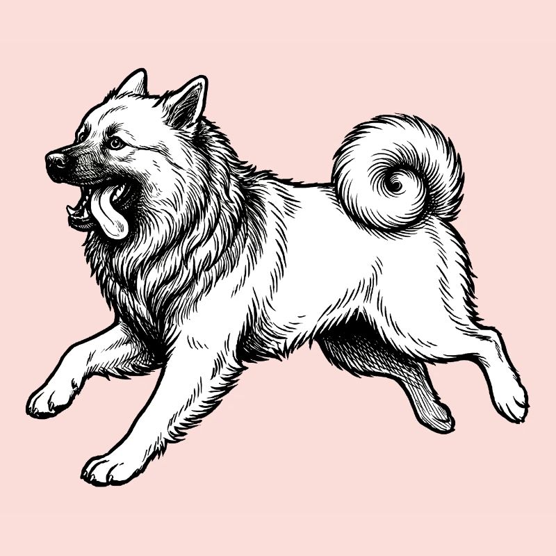 Eurasier | Hell