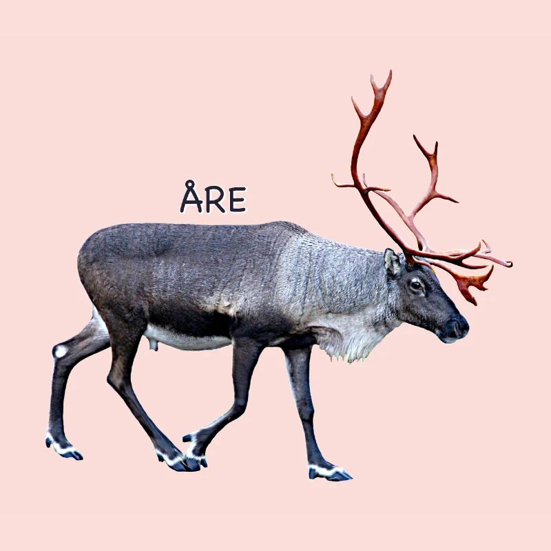 SIND