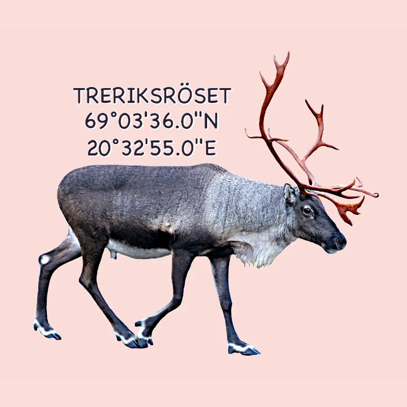 DREI-LÄNDER-ROSETTE