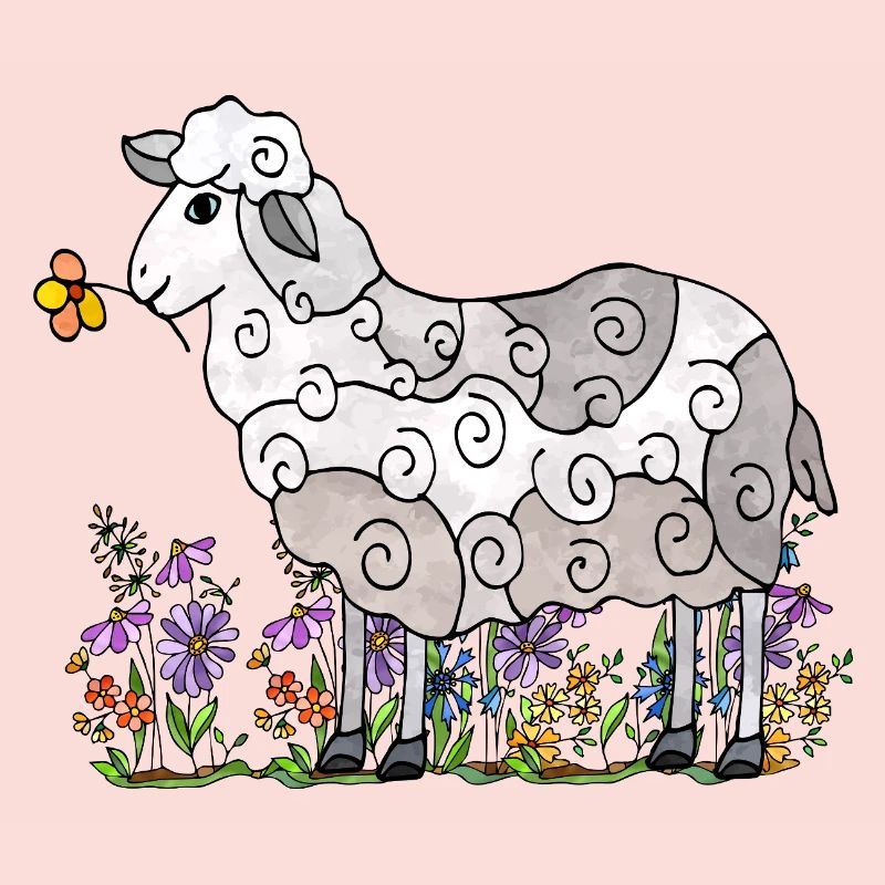Sheep