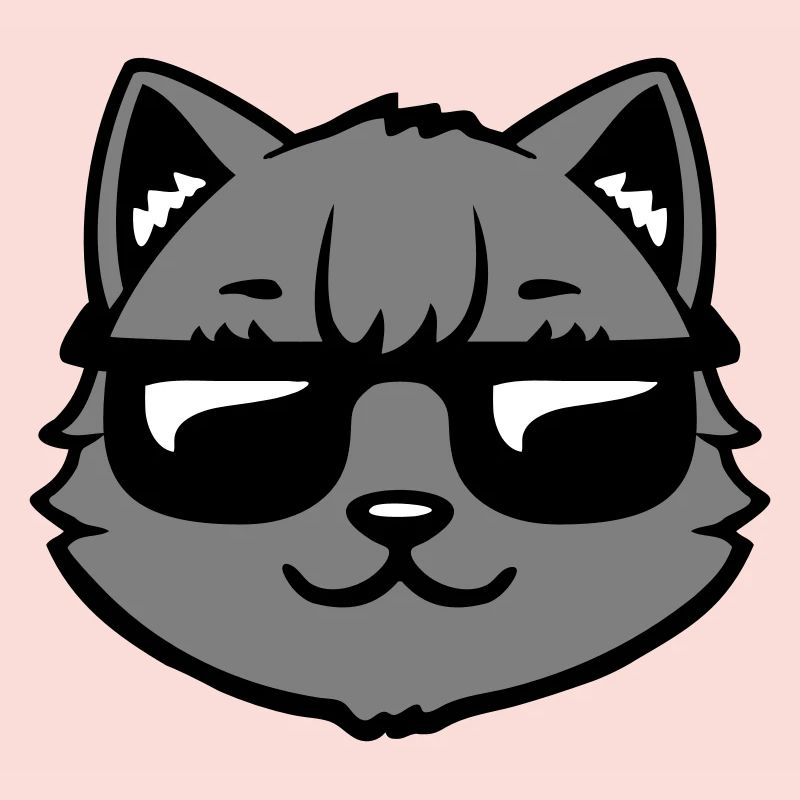 Lunettes de soleil gris chat Look cool style décontracté