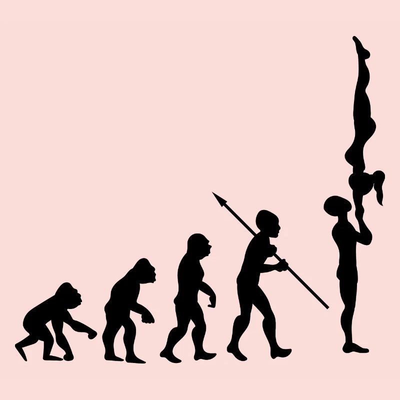 Evolution Gymnastics Gymnastics Acrobatics Gymnastics