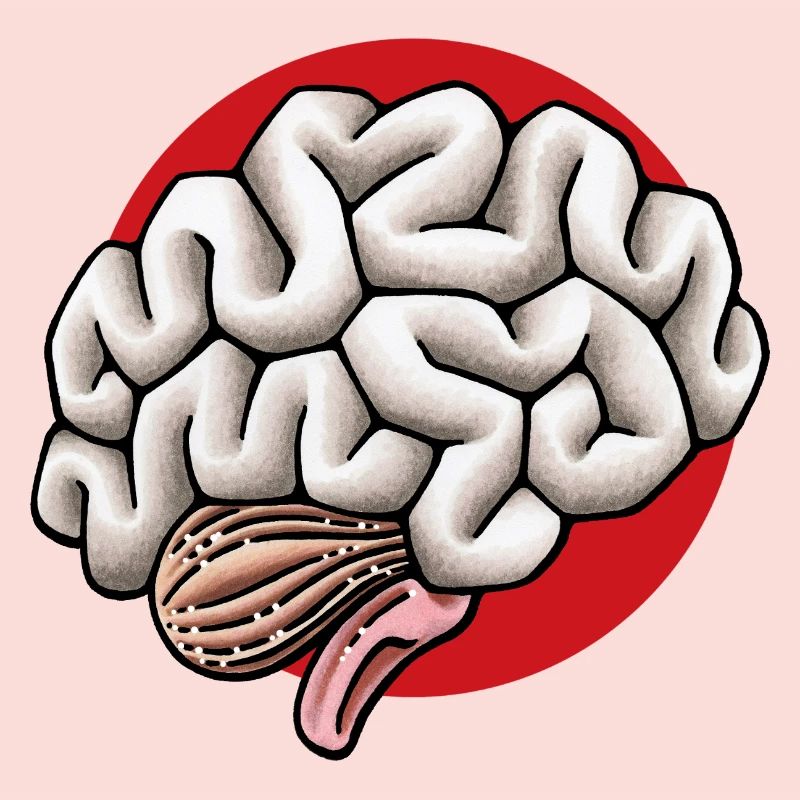 Gehirn Hirn Brain