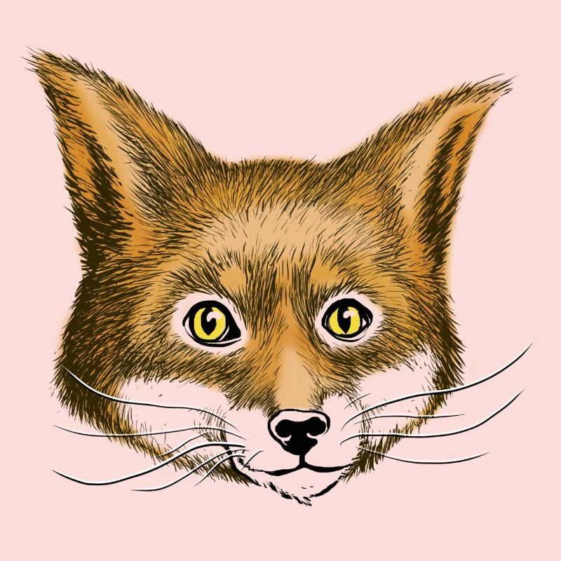 Fuchs the fox