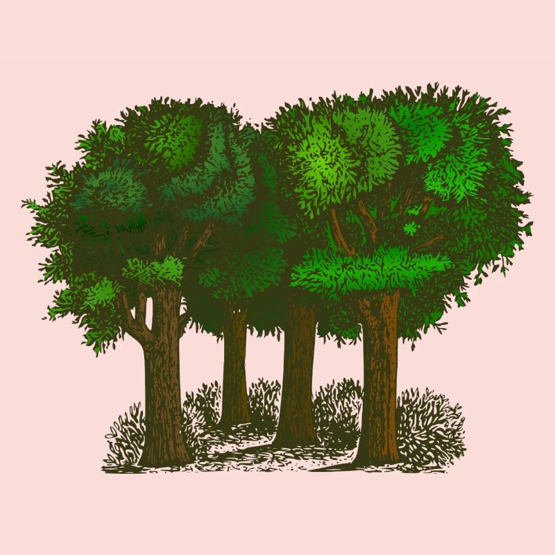Wald
