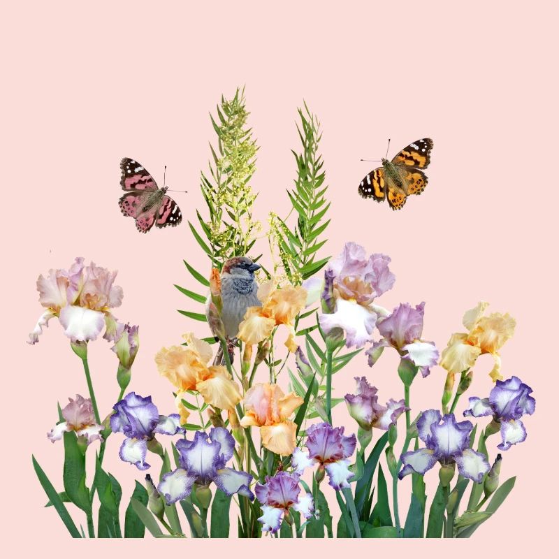 Im Garten der Schmetterlinge 