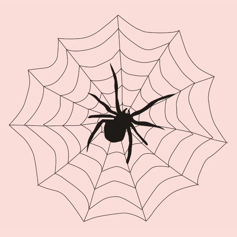 Spinne Netz