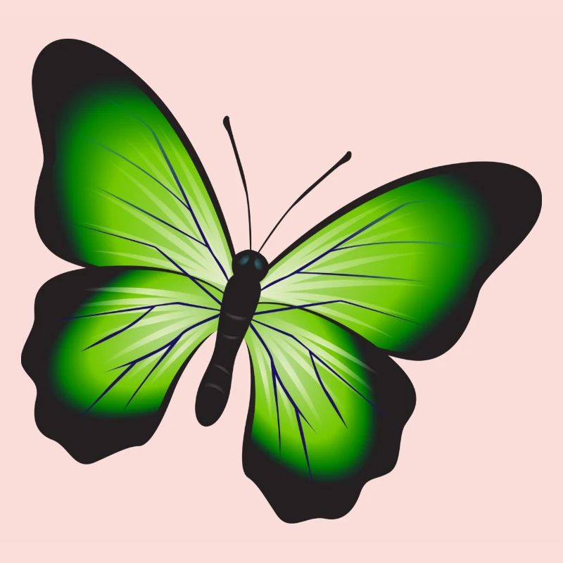 Ein schöner Schmetterling