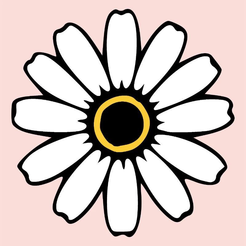 Fleurs blanches Fleurs blanches Fleurs blanches Fleurs sauvages Herbes