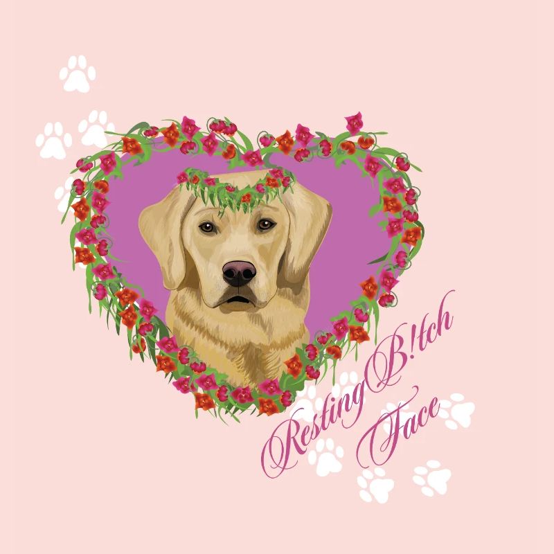 Schlafender Labrador im Gesicht