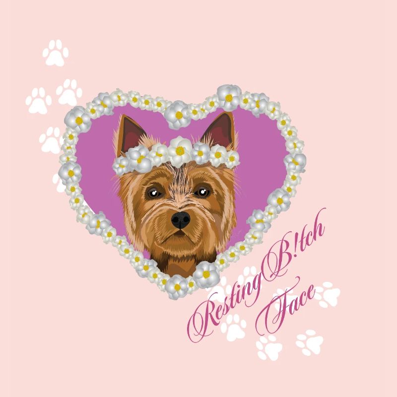Ruhender Tch-Face Yorksire Terrier