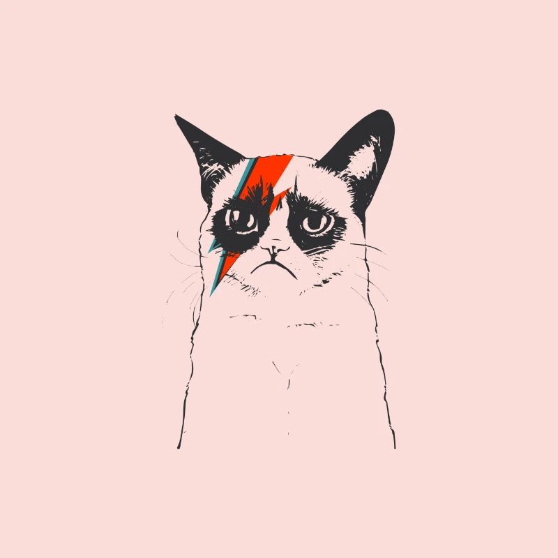 CATS | FLASH CAT
