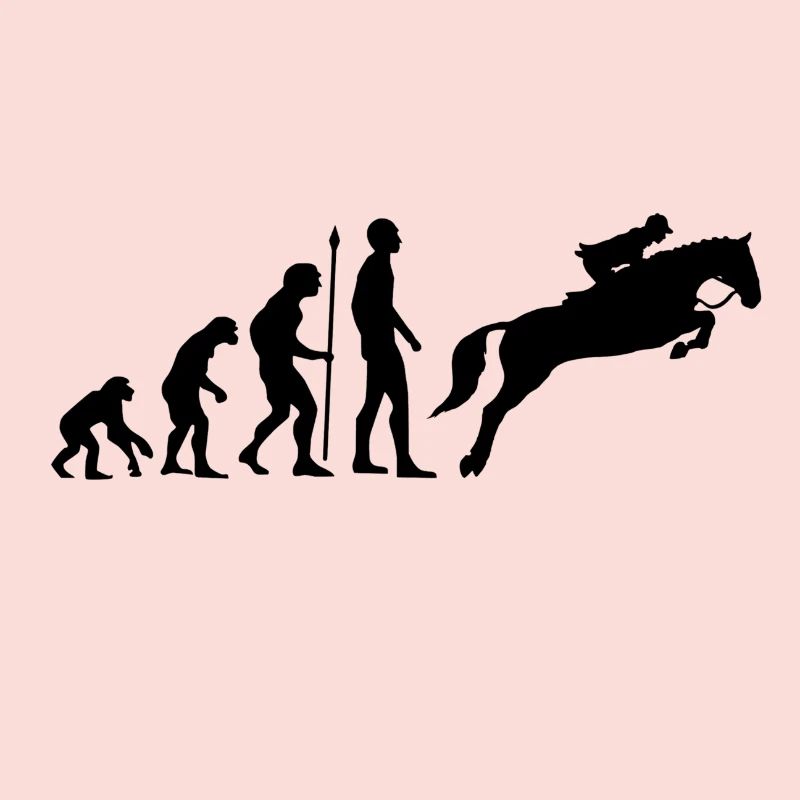 Reiterin Evolution Springreiten Pferde